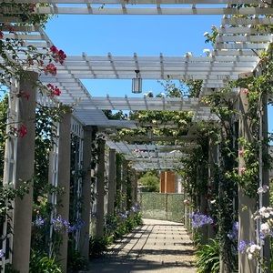 Meet your Posher, Patricia